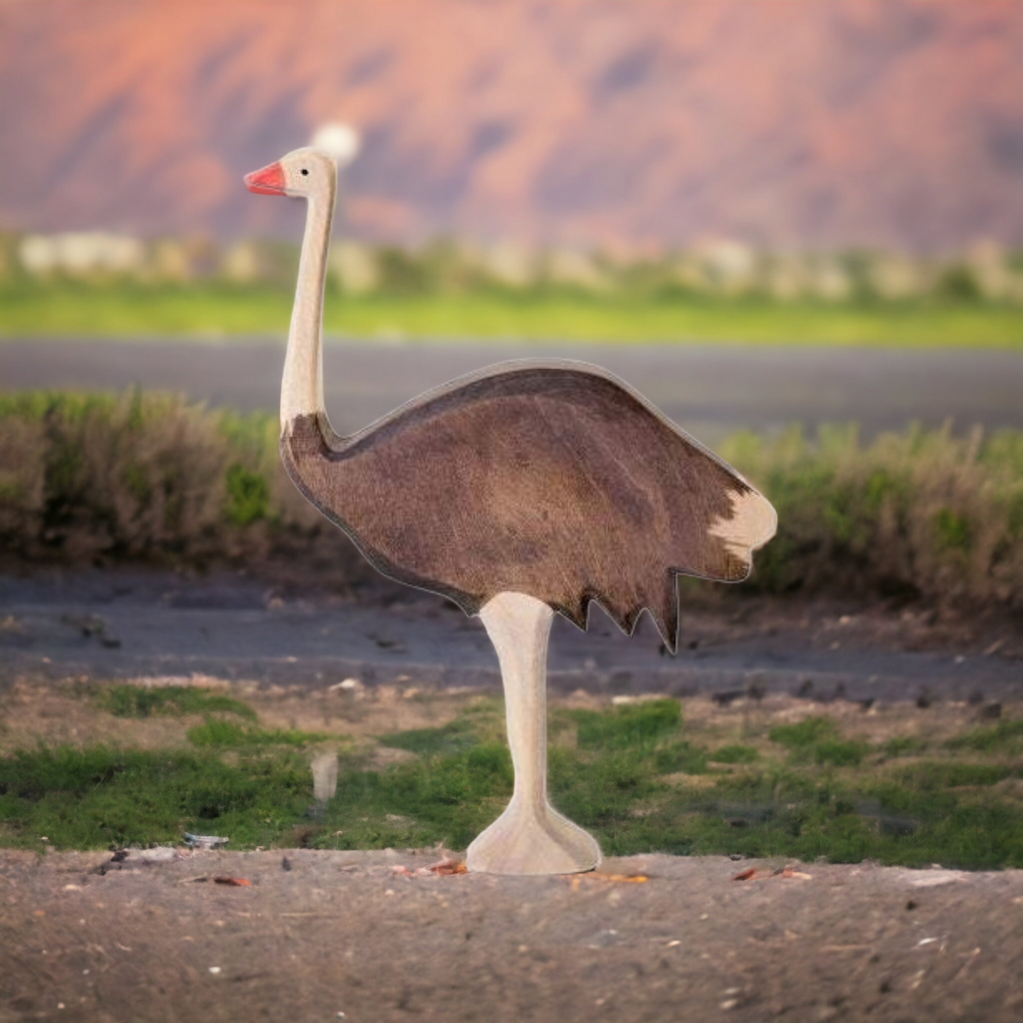 Wooden Emu