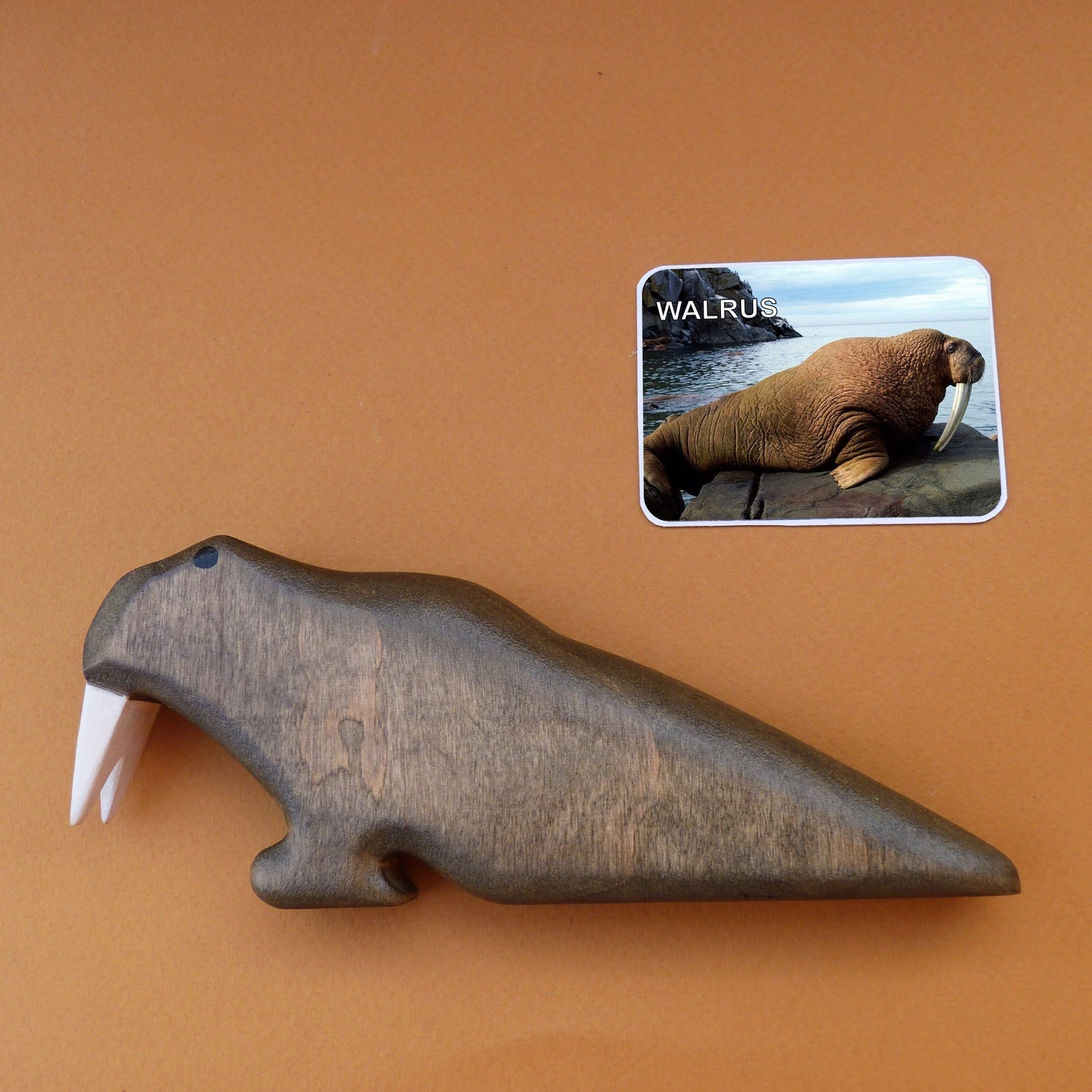 Wooden Walrus