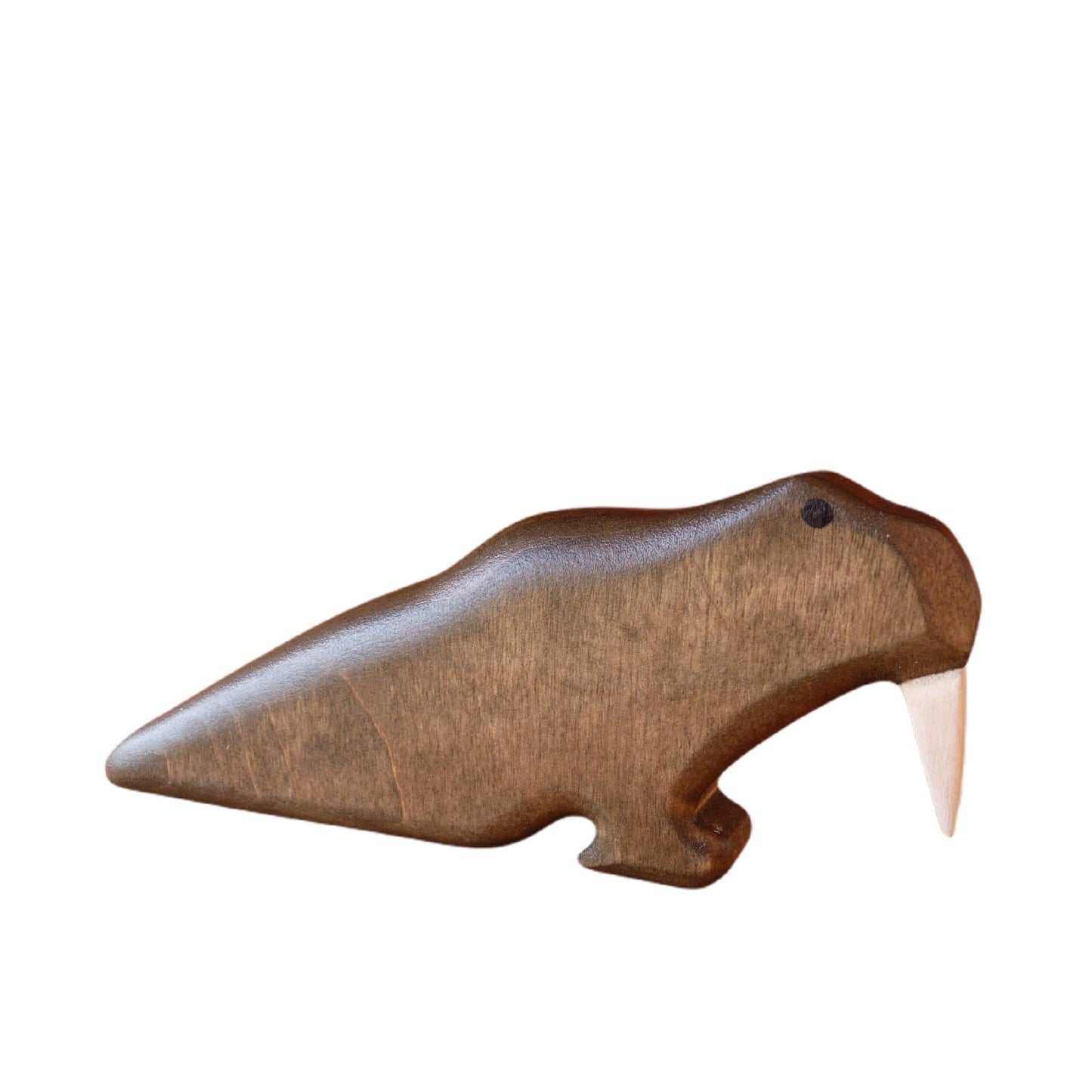 Wooden Walrus
