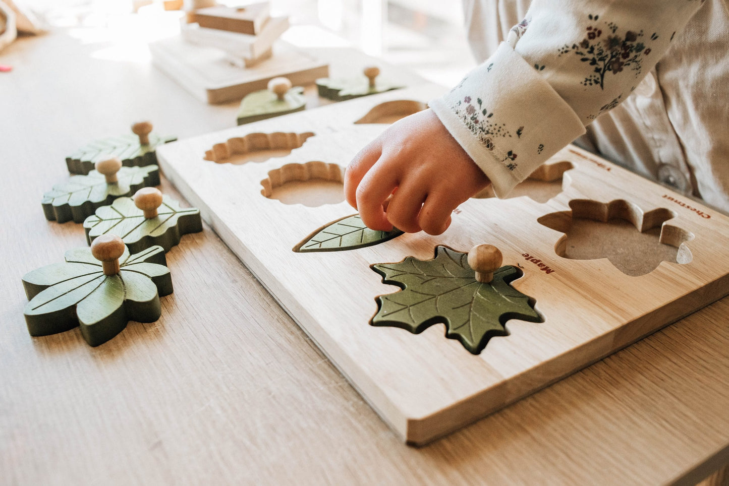 Qtoys Montessori Leaf Puzzle