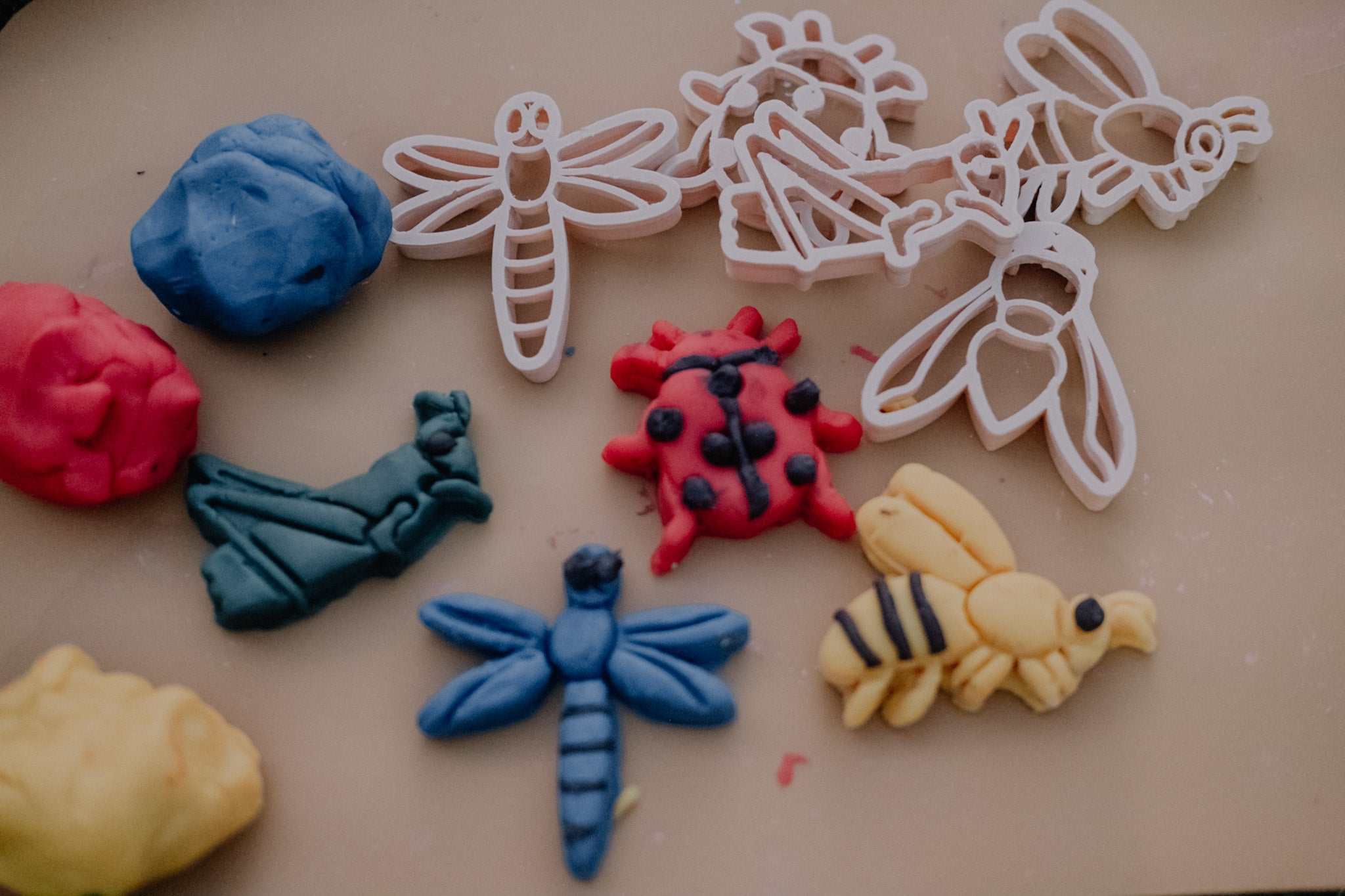 Kinfolk Pantry Mini Insect Eco Cutter Set – Growing Little Folks