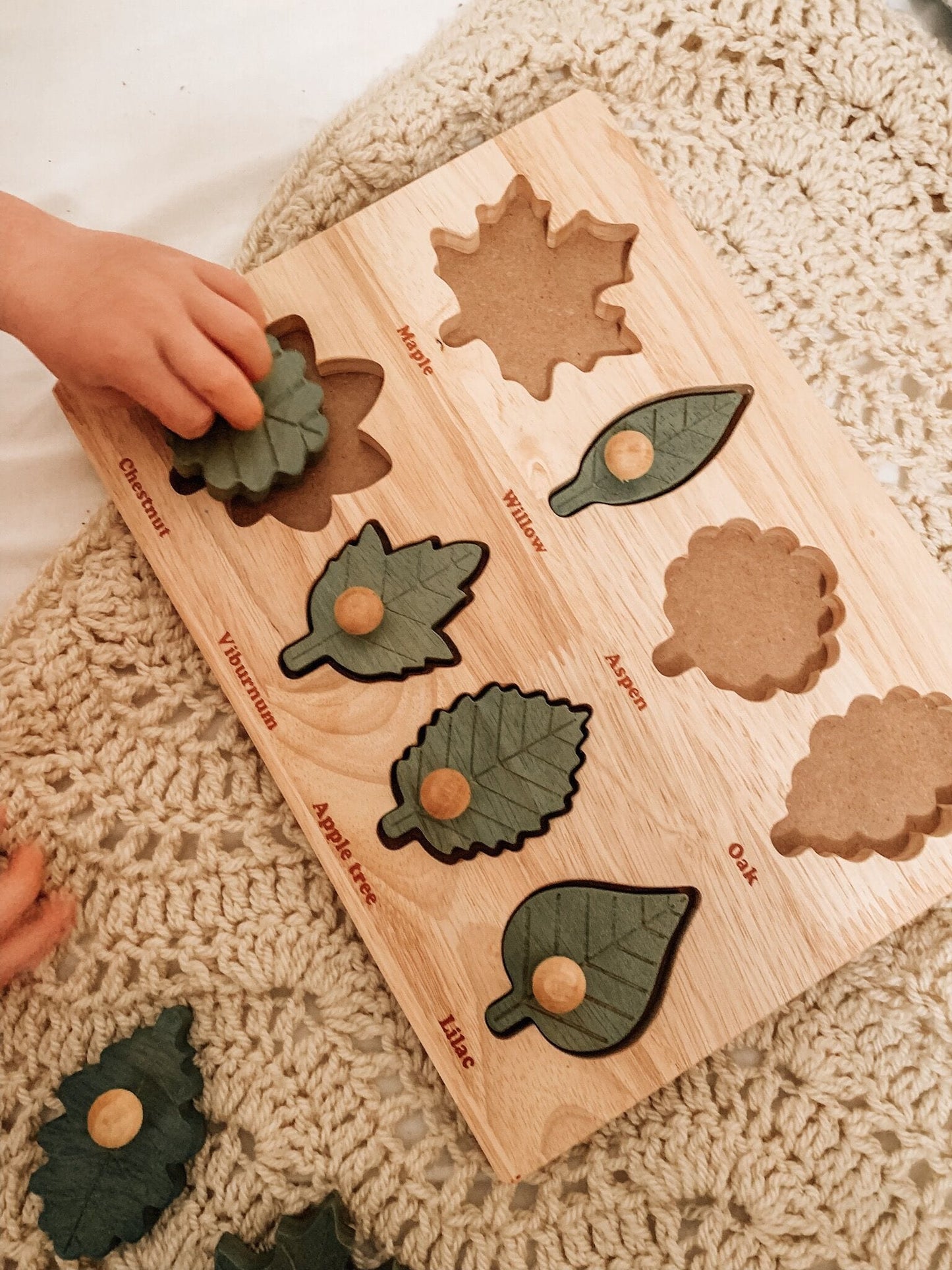 Qtoys Montessori Leaf Puzzle